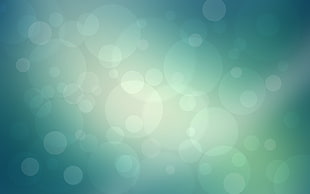 bokeh photography HD wallpaper
