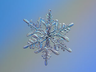 silver Snowflakes HD wallpaper