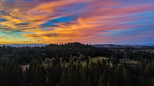 Trees,  Sunset,  Mountains