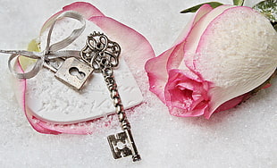 white and pink rose beside silver skeleton key