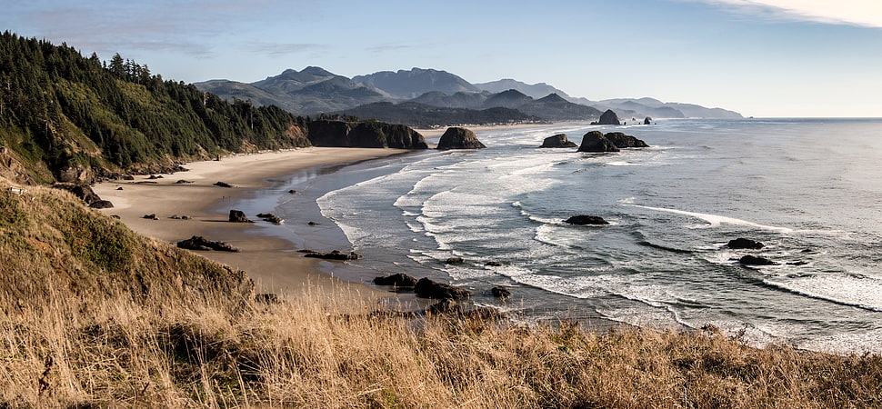 sea shore near mountains under blue skies at daytime, cannon beach HD wallpaper