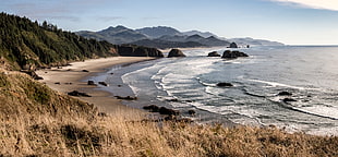 sea shore near mountains under blue skies at daytime, cannon beach