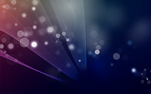 bokeh photography of purple and pink lights