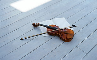brown violin and bow on top of open book