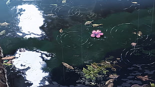 painting of water puddle with pink flowers, The Garden of Words, anime, animation, ripples HD wallpaper