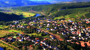 aerial view of village HD wallpaper