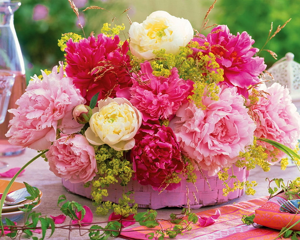 pink and yellow flowers HD wallpaper