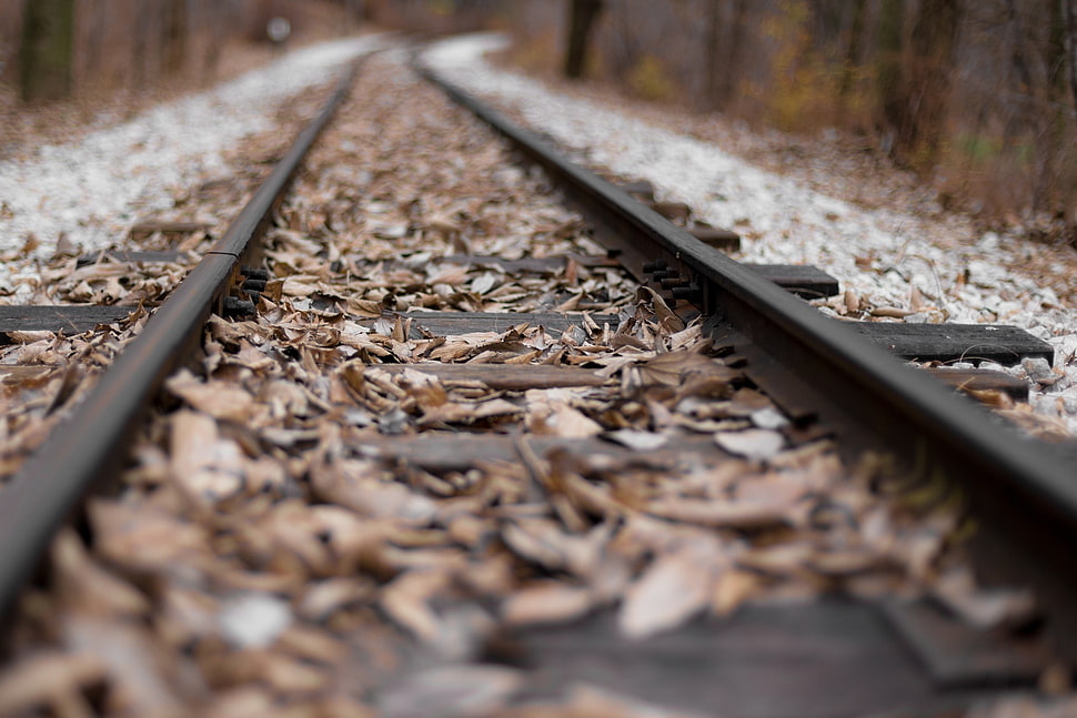black rail rod HD wallpaper