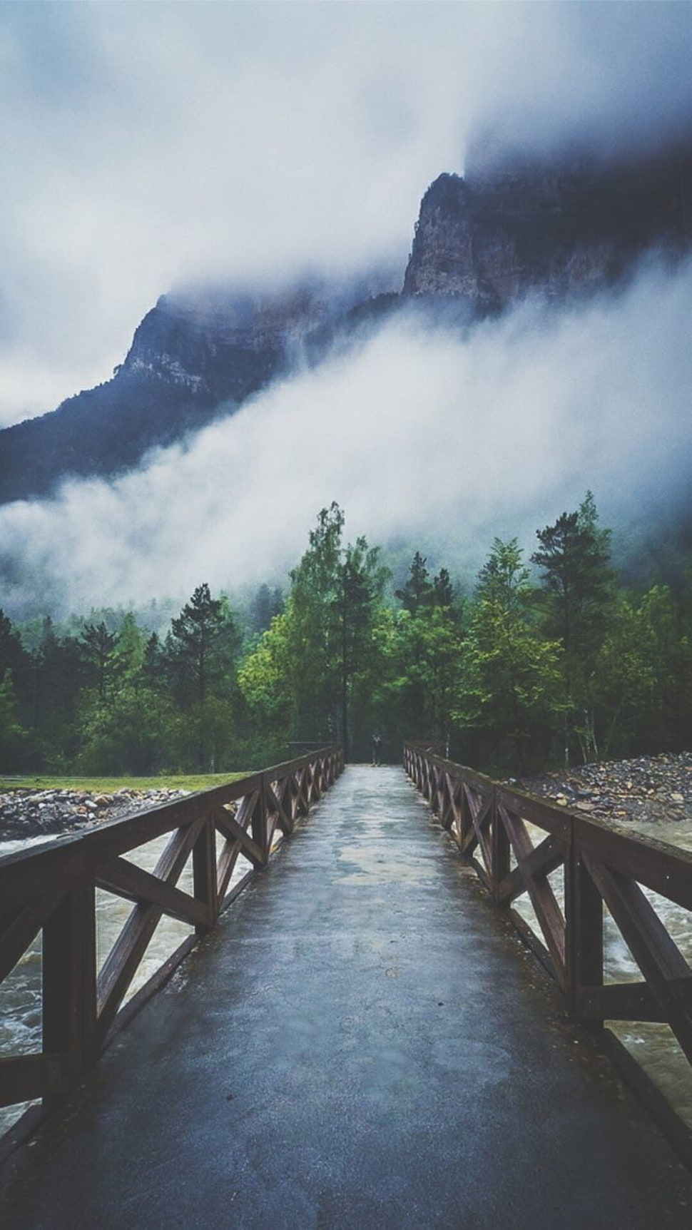 white clouds above the forest HD wallpaper