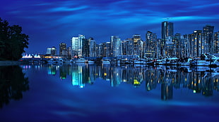 city buildings, city, night HD wallpaper