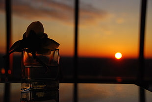 clear drinking glass, sunset, urban