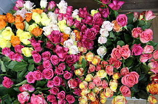 photo of red, yellow, white, and pink rose bouquet
