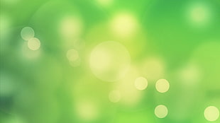 bokeh photography of lime green color HD wallpaper