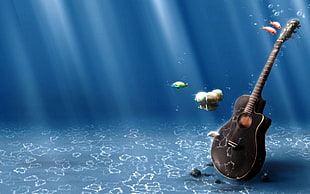underwater photography of black cutaway acoustic guitar