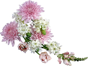 pink and white floral bouquet