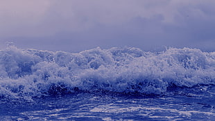 water waves, water, sea, waves, nature