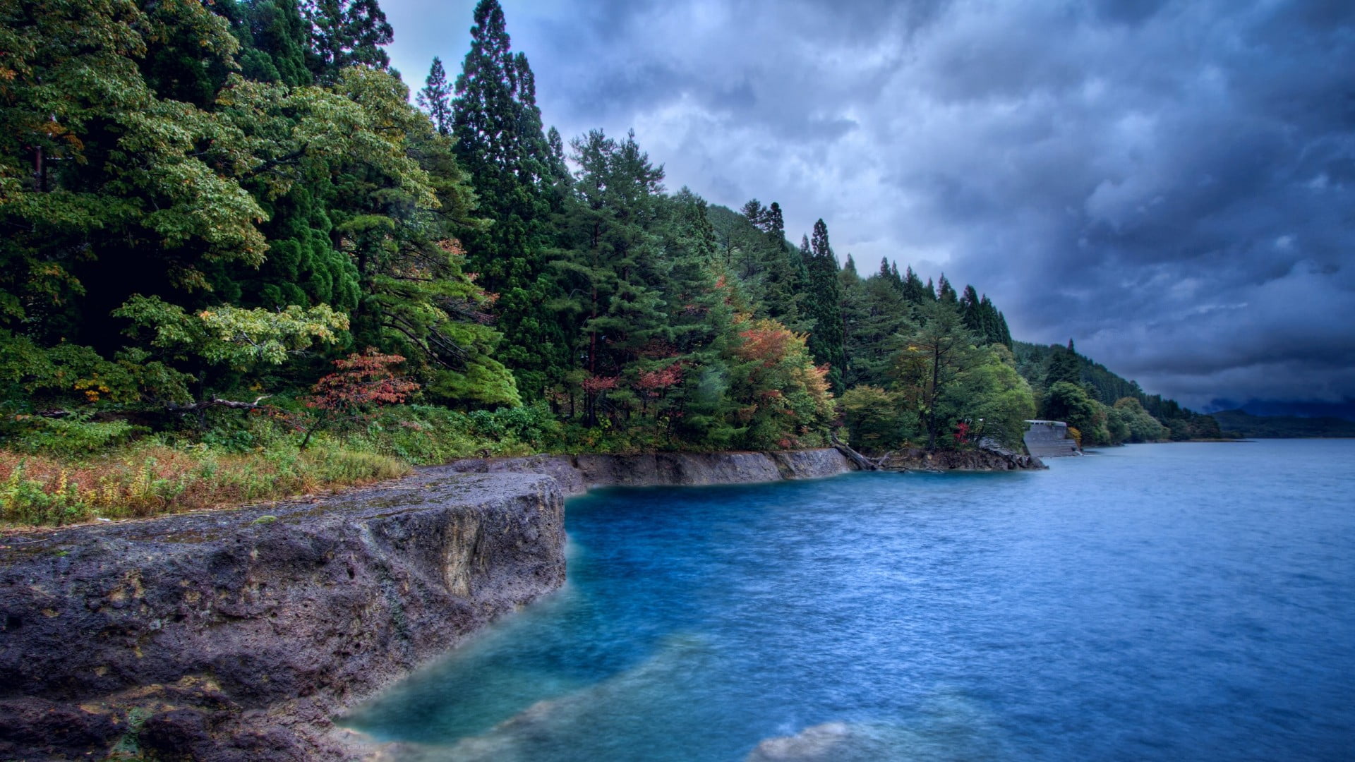 green tree, lake, forest