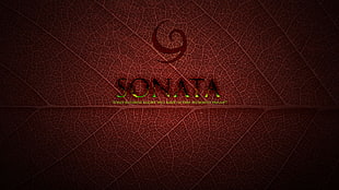 red and black Sonata wallpaper, The Legend of Zelda, video games