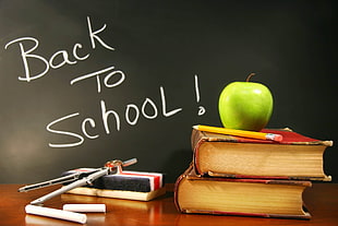 Back to School graphic text HD wallpaper