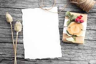 white printed paper and brown rope on grey wooden surface