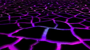 black and purple illustration