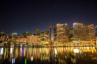 landscape photo of a city buildings during night time