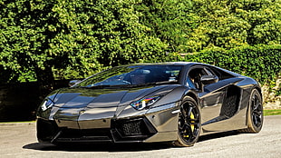 gray Lamborghini car, car, Lamborghini Aventador
