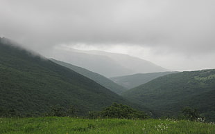 landscape photo of green mountain HD wallpaper