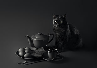 black cat, still life, eggs, cup, dark