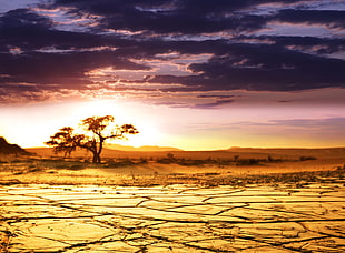 desert during sunset HD wallpaper