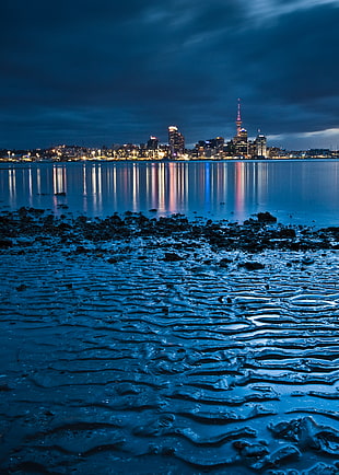 high rise buildings with lights, auckland HD wallpaper