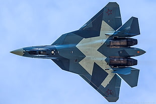 white and blue fighter jet, aircraft, military aircraft, Sukhoi PAK FA, PAK FA