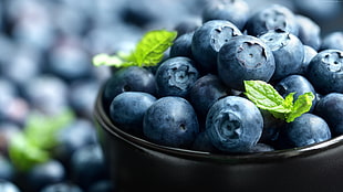 bunch of blueberries, blueberry, berries, 4k
