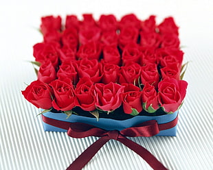 close-up photo of red roses on blue textile