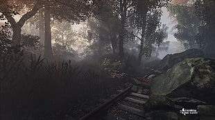 green trees in forest digital wallpaper, video games, The Vanishing of Ethan Carter HD wallpaper