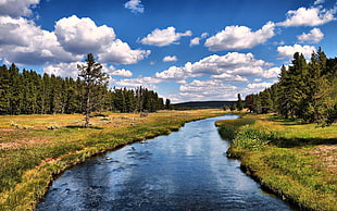 landscape photograph of river HD wallpaper