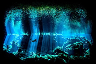 under water digital wallpaper, nature, water, sea, underwater