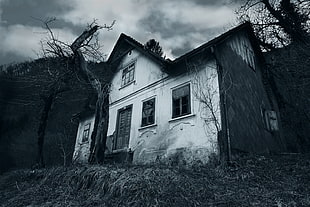 white and gray concrete house, house, abandoned