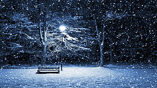 gray wooden bench, winter, snow, street light