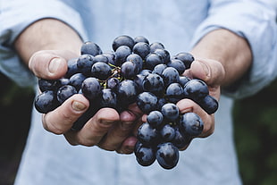 person holding grape