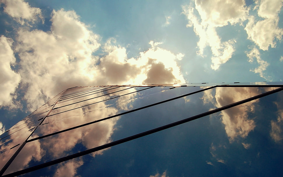 low angle of high rise building HD wallpaper