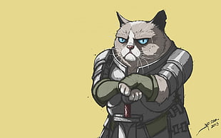 cat holding sword illustration