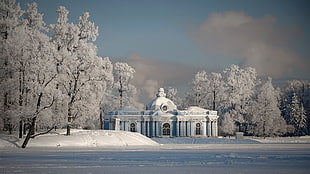 snow covered road and trees near on white concrete building