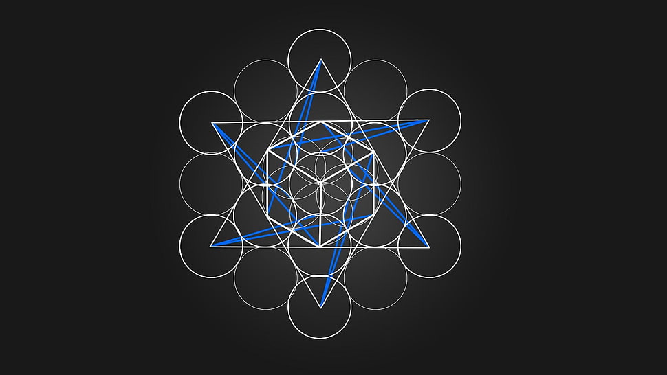 white and blue shape decor, geometry HD wallpaper