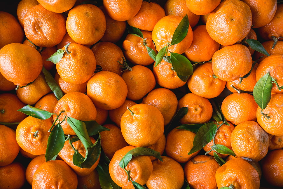 bunch of orange fruits HD wallpaper
