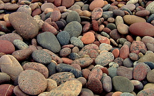 assorted pebbles in closeup photo