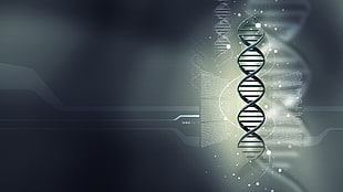 DNA strand illustration, DNA, abstract