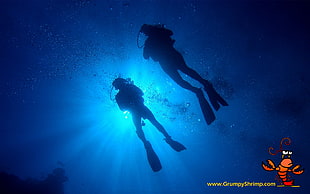 pair of black swimming flippers, water, divers, underwater