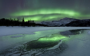 green aurora borealis, nature, landscape, aurorae