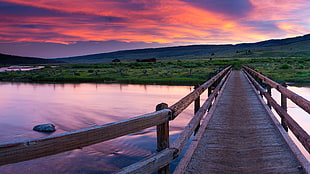 brown wooden dock bridge, nature, landscape, bridge, sunset